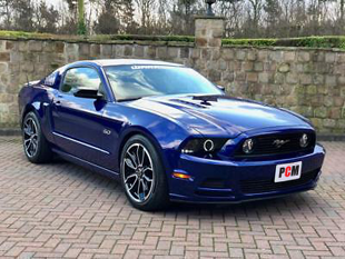 PCM Blue Mustang