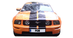 PCM Blue Mustang